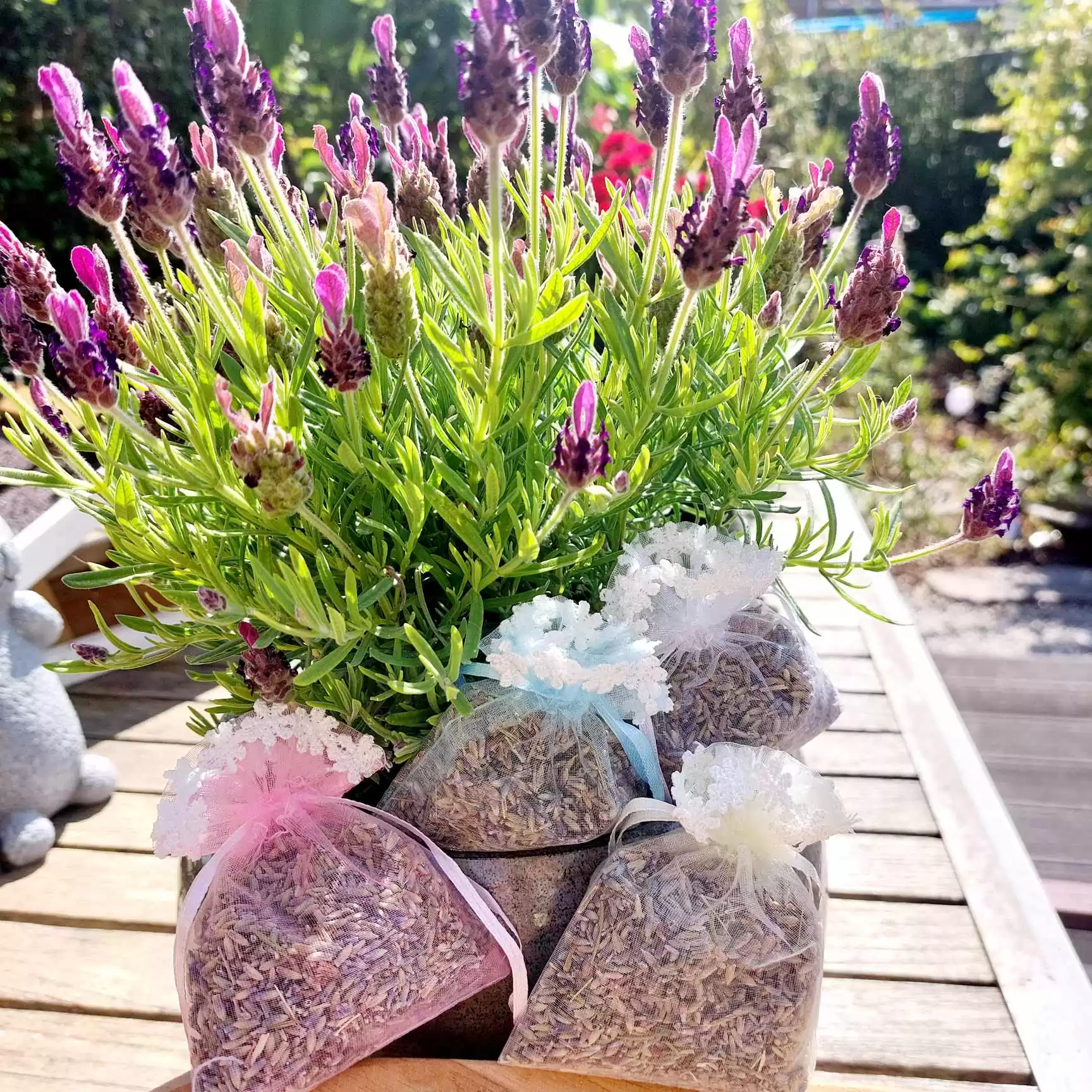 Franse lavendel geurzakjes