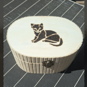 Sieradendoosje handgebrand- kat met bleke lijnen