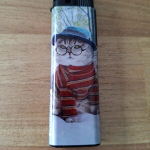 Aansteker - kat heldere bril en hoed