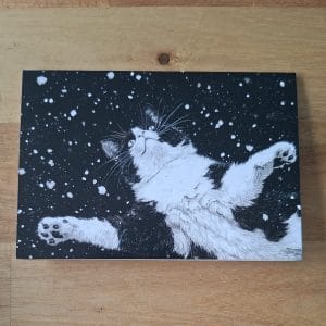 Gevouwen kerstkaart - zwartwitte kat in de sneeuw 5