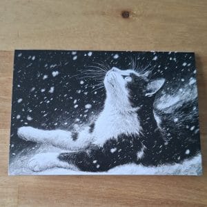 Gevouwen kerstkaart - zwartwitte kat in de sneeuw 6