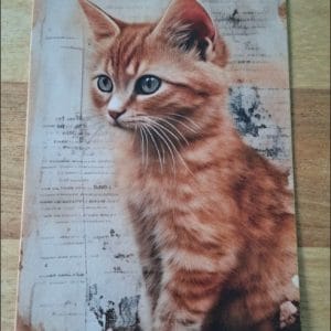 wenskaart enkel-  Rode kat met achtergrond vervaagde tekst