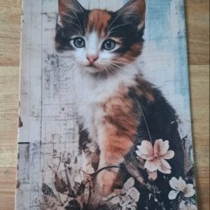 wenskaart enkel-  trico kitten met bloemen