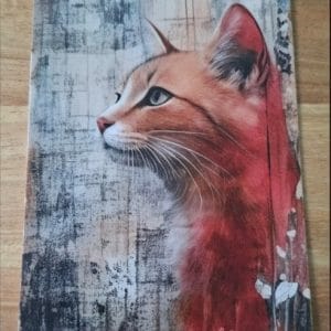 wenskaart enkel-  roodwitte kat profiel bloemen re