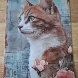 wenskaart enkel- roodwitte kat grote bloemen re