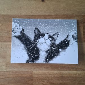 Gevouwen kerstkaart - zwartwitte kat in de sneeuw 1