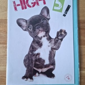 Wenskaart A5 formaat- High 5