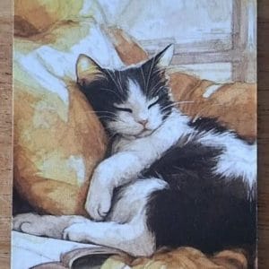 Bladwijzer Beide Zijden Bedrukt Zwart Wit Slapend in zetel 2