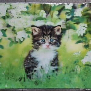 Bureau onderlegger 3D 60x40