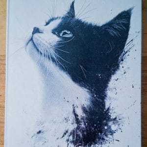 Gevouwen kaart - zwartwitte kat  1