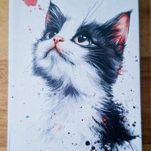 Gevouwen kaart - zwartwitte kat  2