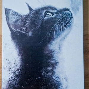 Gevouwen kaart - zwartwitte kat  3