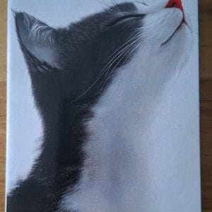 Gevouwen kaart - zwartwitte kat  5