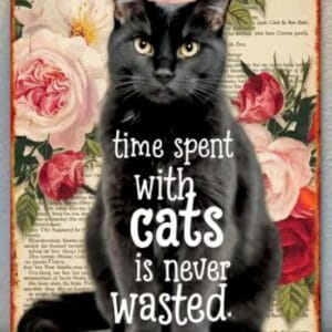 Tekstbord  Time spend cats 1